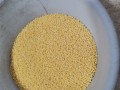 Продавам просо, червена и жълта леща