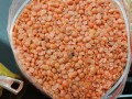 Продавам просо, червена и жълта леща