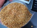 Продавам просо, червена и жълта леща