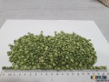 Продавам просо, червена и жълта леща