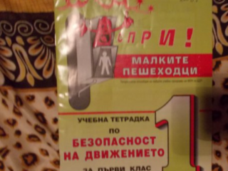 Малките пешеходци