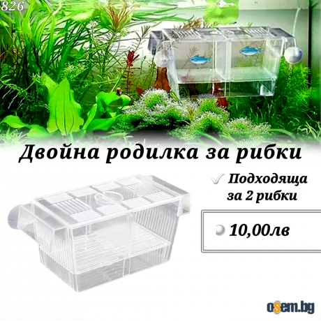 Родилка за рибки. Двойна родилка за рибки. Оборудване за аквариум. Акв...