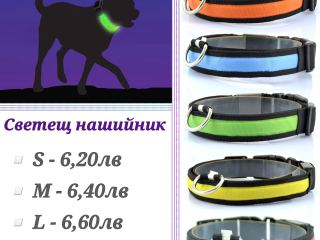 Светещи нашийници. Светещ нашийник за малко куче. Светещ нашийник за голямо куче. Светещи каишки LED