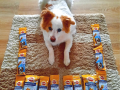 Pedigree Dentastix. Дентални лакомства за големи и малки кучета. Педиг...
