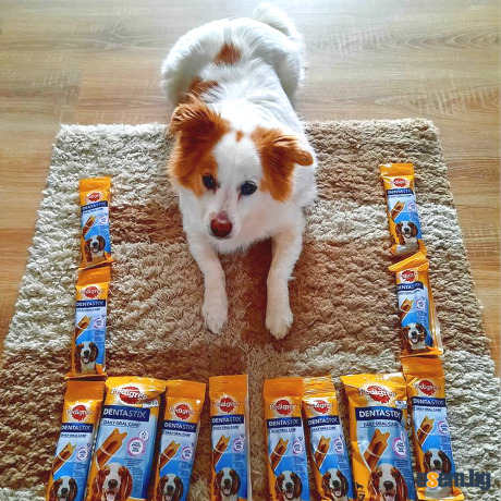 Pedigree Dentastix. Дентални лакомства за големи и малки кучета. Педиг...