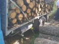 Дърва за огрев тел 0892779670