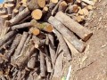Дърва за огрев тел 0892779670