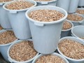 Продавам сортирана ядка