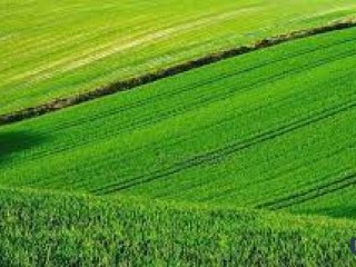 Купувам ЗЕМЕДЕЛСКА ЗЕМЯ всички землища в Община Горна Малина