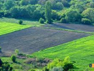 Купувам ЗЕМЕДЕЛСКА ЗЕМЯ всички землища в Община Елин Пелин