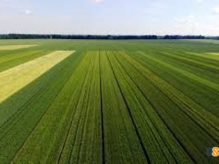Купувам ЗЕМЕДЕЛСКА ЗЕМЯ всички землища област Монтана