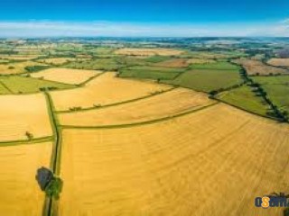 Купувам ЗЕМЕДЕЛСКА ЗЕМЯ всички землища област Велико Търново