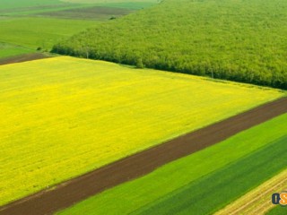 Купувам ЗЕМЕДЕЛСКА ЗЕМЯ всички землища в Община Драгоман