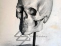 Уроци по рисуване в София