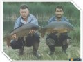 Електровъдица