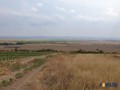 Продавам 30 дка земя в землището на с. Вълчин