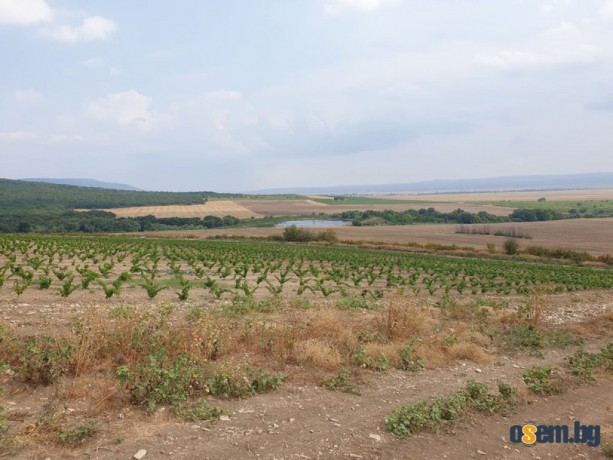 Продавам 30 дка земя в землището на с. Вълчин
