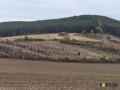 Продавам 11,299 дка земя в землището на с. Имренчево