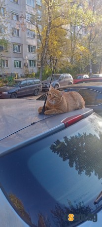 Товаро-Разтоварни Услуги Студенти