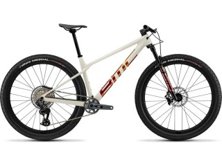 2027 BMC Twostroke 01 ONE Mountain Bike (ZONACYCLES)