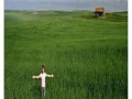 Курс Агроекология