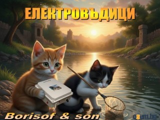 Електовъдици Borisof & son