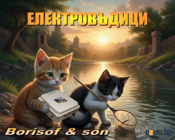 Електовъдици Borisof & son